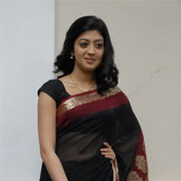 Praneetha hot in transparent black saree | Picture 68335